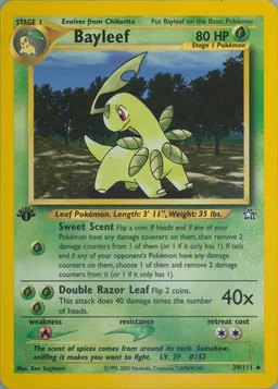 Bayleef card photo