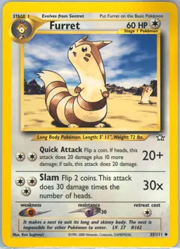 Furret #35