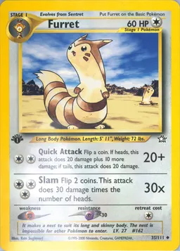 Furret #35
