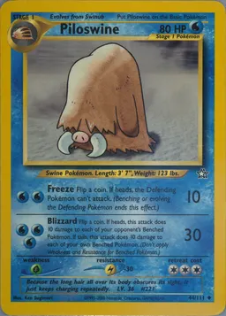 Piloswine #44