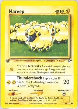 Mareep #65