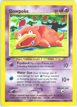 Slowpoke #73