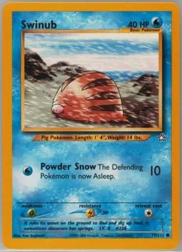 Swinub card photo