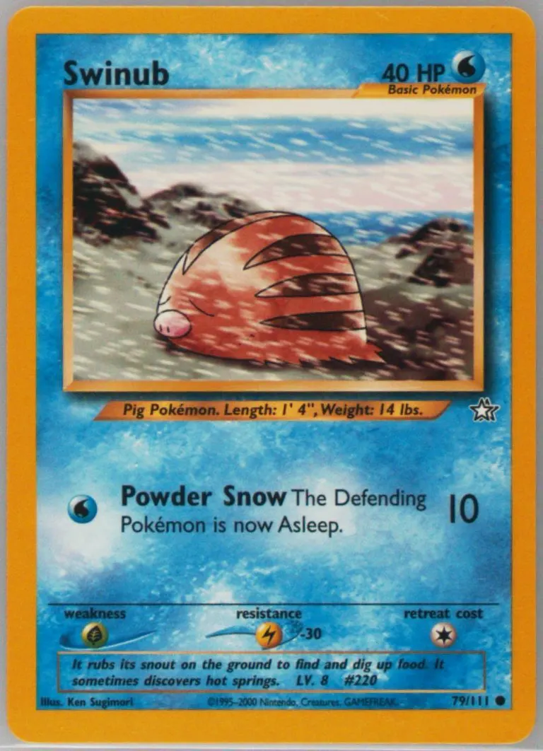 Swinub card photo