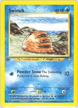 Swinub #79
