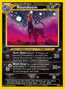 Houndoom card photo