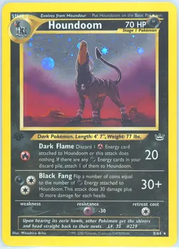 Houndoom card photo