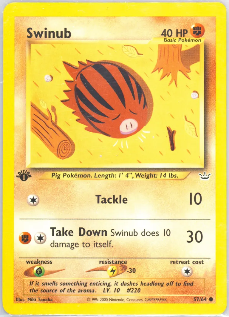 Swinub card photo