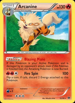 Arcanine card photo