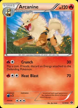 Arcanine #13