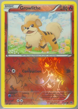 Growlithe #11