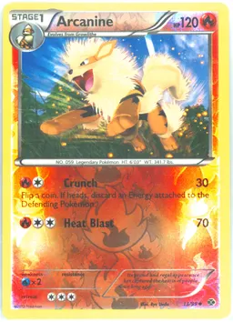 Arcanine #13