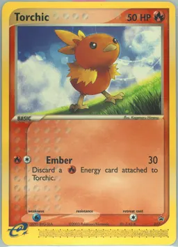 Torchic #17