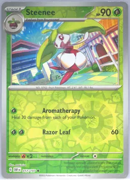 Steenee #17