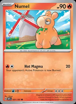 Numel #31