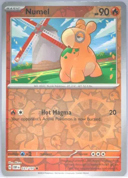 Numel #31