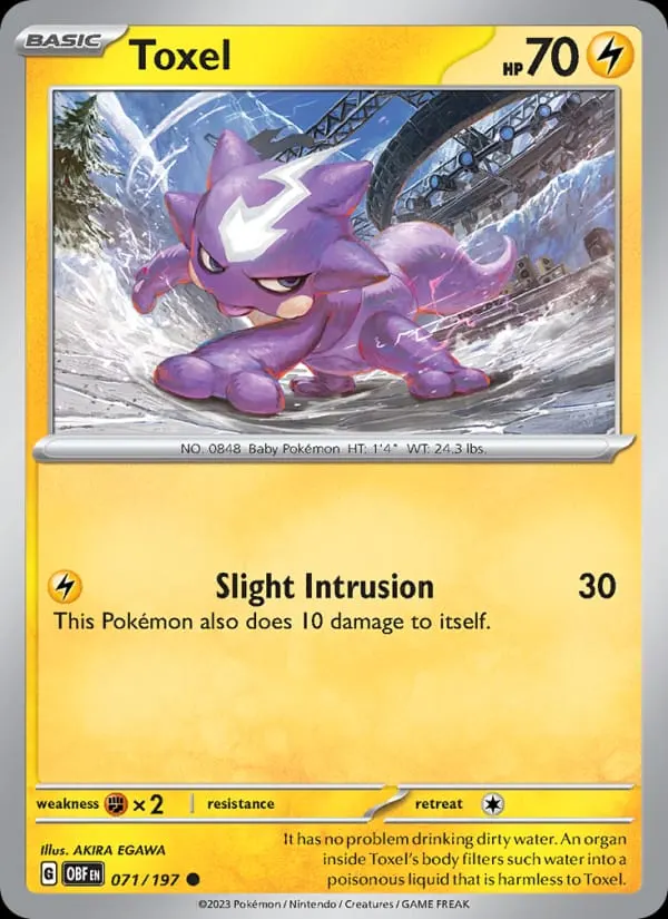 Toxel card photo