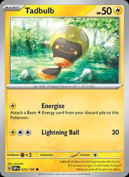 Tadbulb #74
