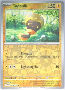 Tadbulb #74