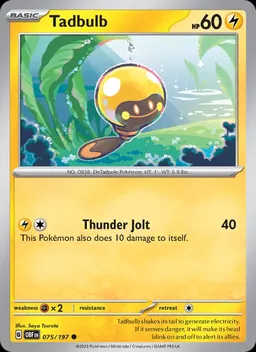Tadbulb #75