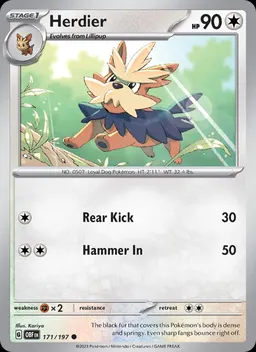 Herdier card photo