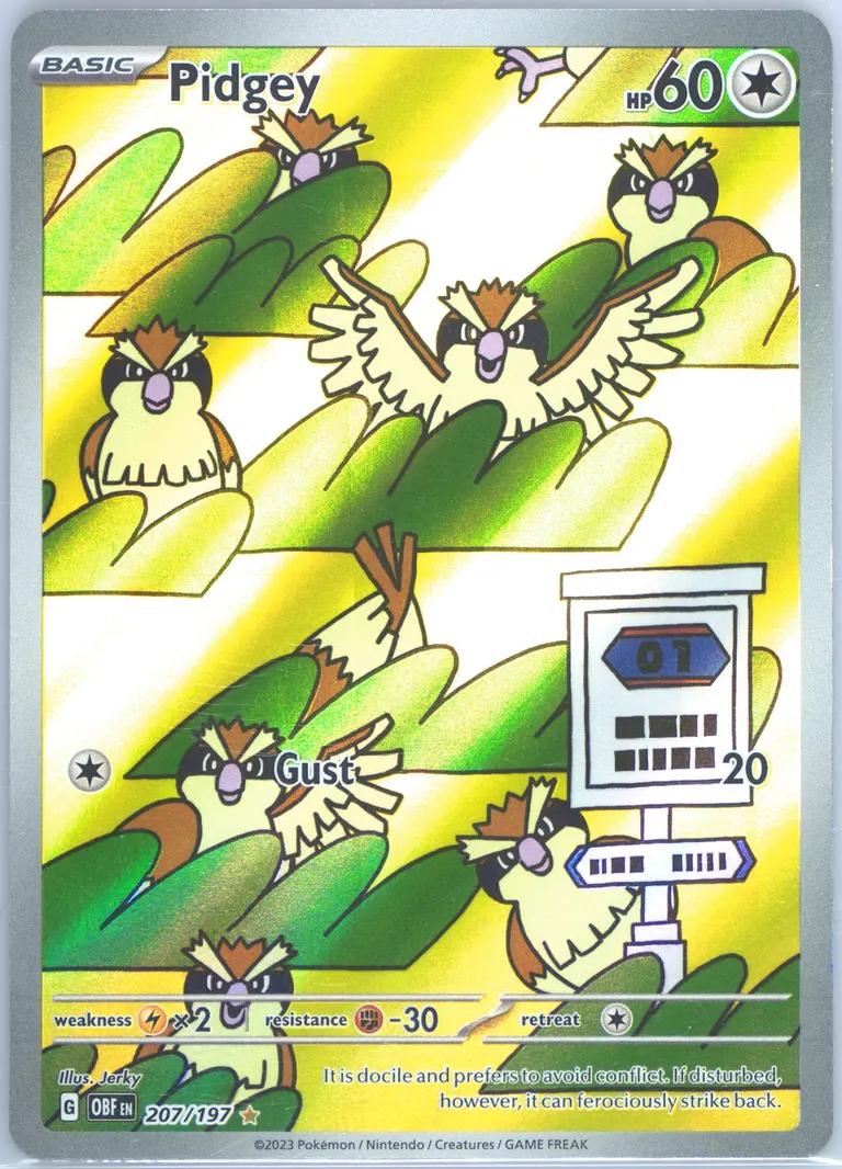 Pidgey card photo