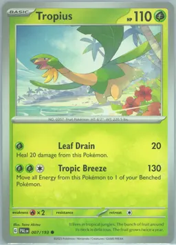 Tropius #7