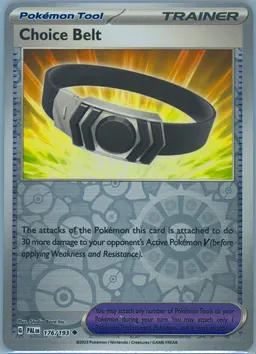 Choice Belt #176