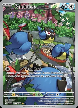 Rookidee card photo