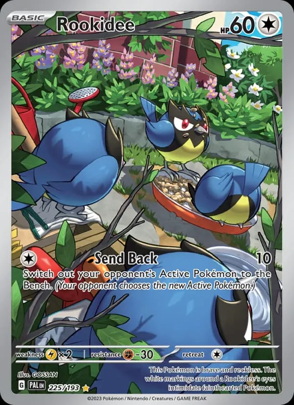 Rookidee card photo