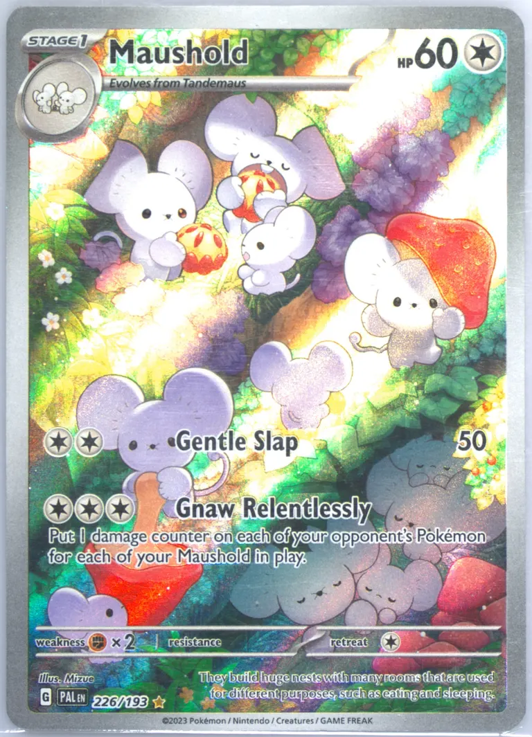 Maushold card photo