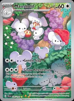 Maushold card photo