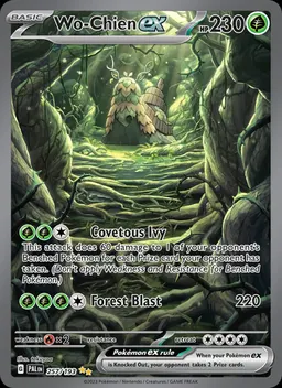 Wo-Chien ex card photo