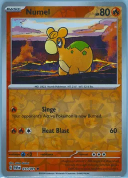 Numel #11