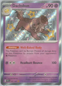 Dachsbun #161