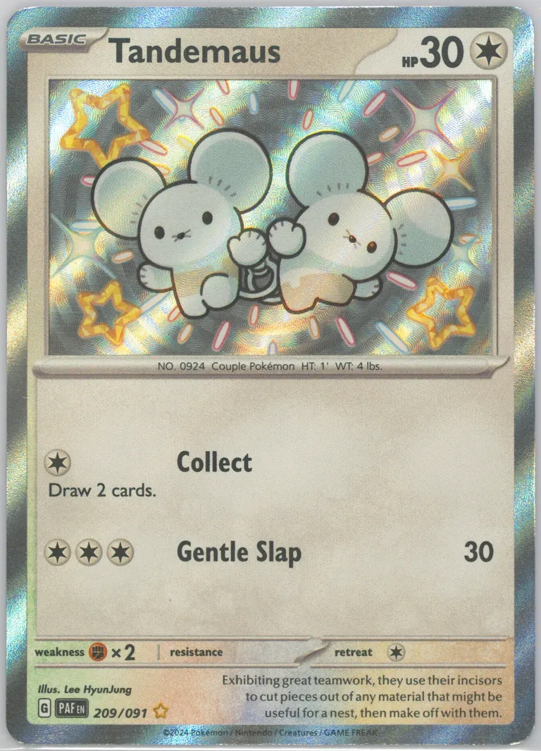 Tandemaus card photo