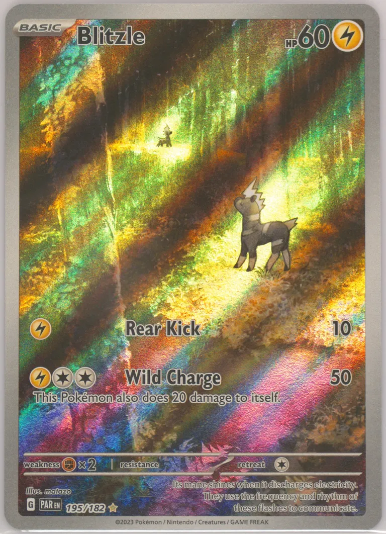 Blitzle card photo