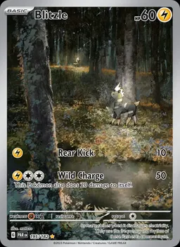 Blitzle card photo