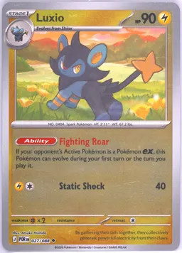 Luxio #27