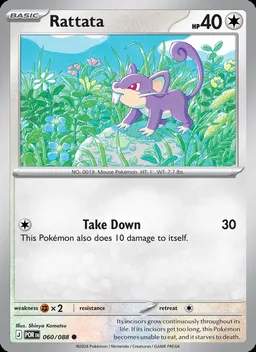 Rattata #60