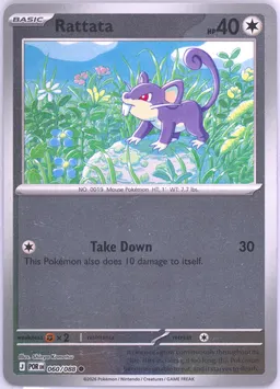 Rattata #60