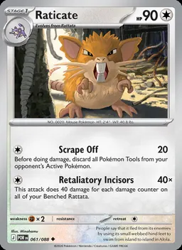 Raticate #61