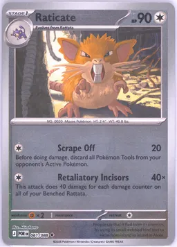 Raticate #61