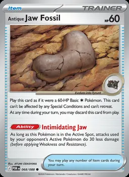 Antique Jaw Fossil #68