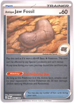 Antique Jaw Fossil #68