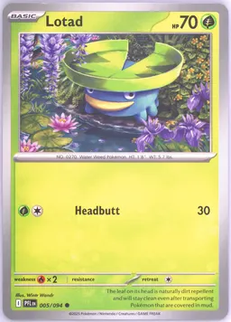 Lotad #5
