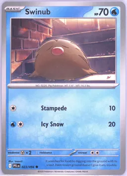 Swinub #23