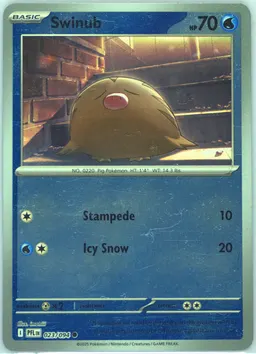 Swinub #23