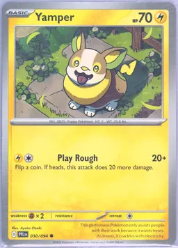 Yamper #30
