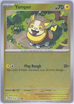 Yamper #30